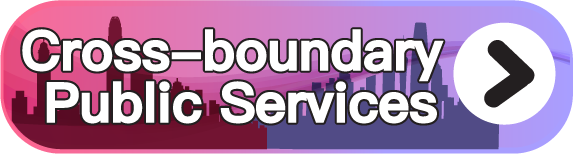 Cross-boundary Public Services